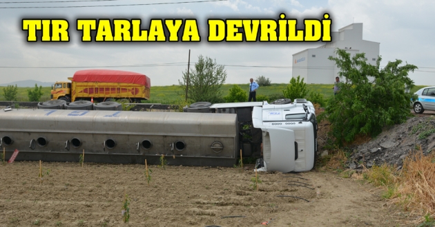 TIR tarlaya devrildi, sürücü yara almadı TIR tarlaya devrildi, sürücü yara almadı