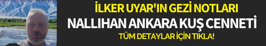 ŞOK marketin yarın listesinde hangi ürünler var?