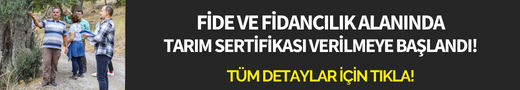 Egeli 'Walter White' tekrar yakalandı!