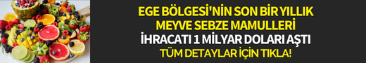Manisa'da festival var!