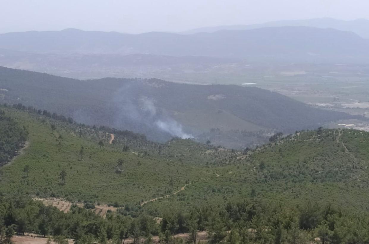 Gölmarmara'da orman yangını!