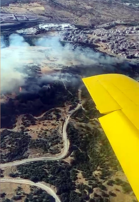 Manisa'da konutlara yakın yerde orman yangını!