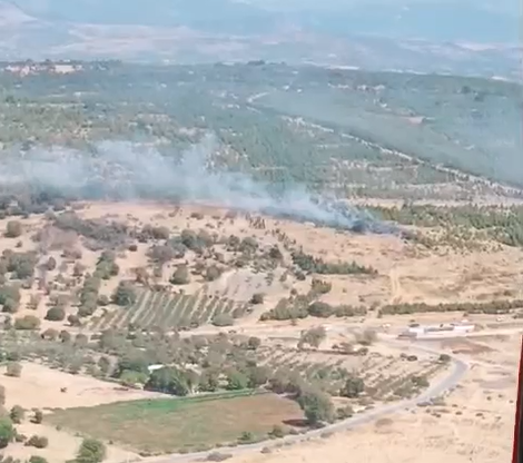 Bergama'da orman yangını kontrol altına alındı