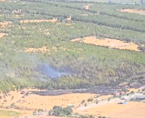Bergama'da orman yangını kontrol altına alındı