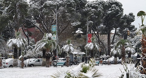 TURGUTLU BEMBEYAZ(2)