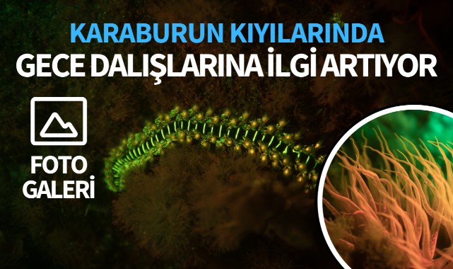 Karaburun kıyılarında gece dalışlarına ilgi artıyor