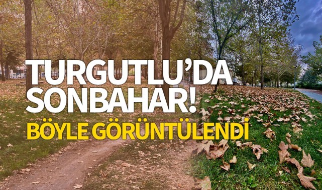 Turgutlu'da sonbahar!
