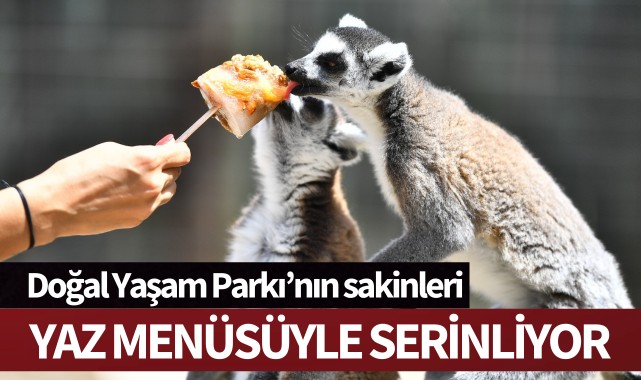 Doğal Yaşam Parkı'nın sakinleri yaz menüsüyle serinliyor