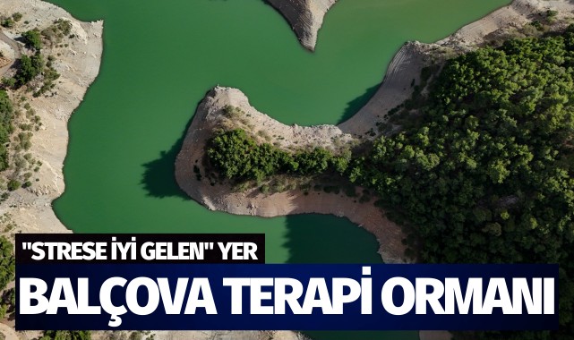 "Strese iyi gelen" yer, Balçova Terapi Ormanı