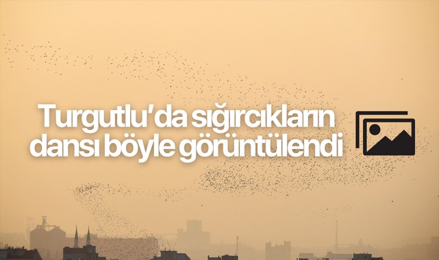 Turgutlu'da sığırcık kuşları görsel şölen sundu