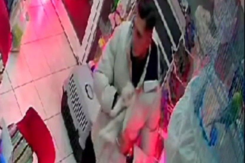Şaşırtan hırsızlık: Cins kediyi montunun içine gizleyip çaldı!