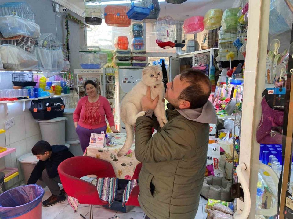 Şaşırtan hırsızlık: Cins kediyi montunun içine gizleyip çaldı!