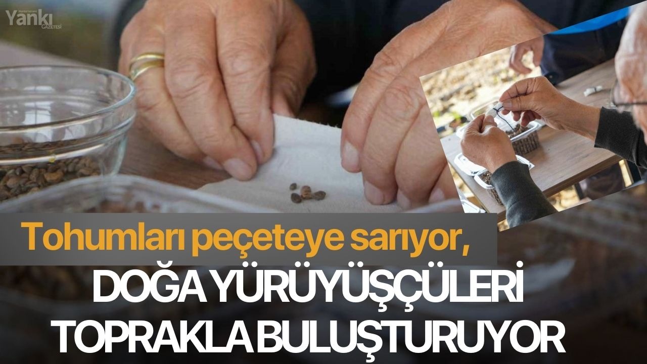 Tohumları peçeteye sarıyor, doğa yürüyüşçüleri toprakla buluşturuyor