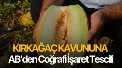 Kırkağaç Kavunu AB’den Coğrafi İşaret Tescili