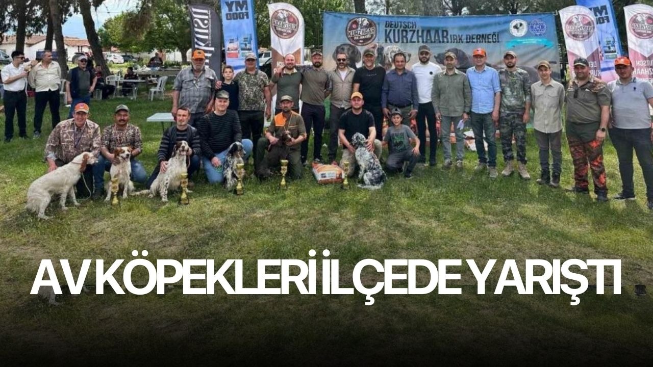 Av köpekleri ilçede yarıştı