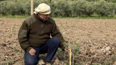 Yunusemre’de fidanlar toprakla buluşuyor