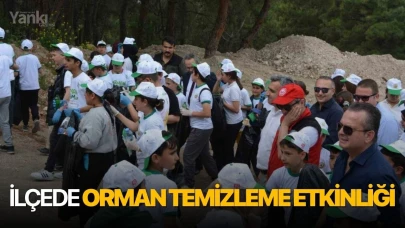 İlçede orman temizleme etkinliği