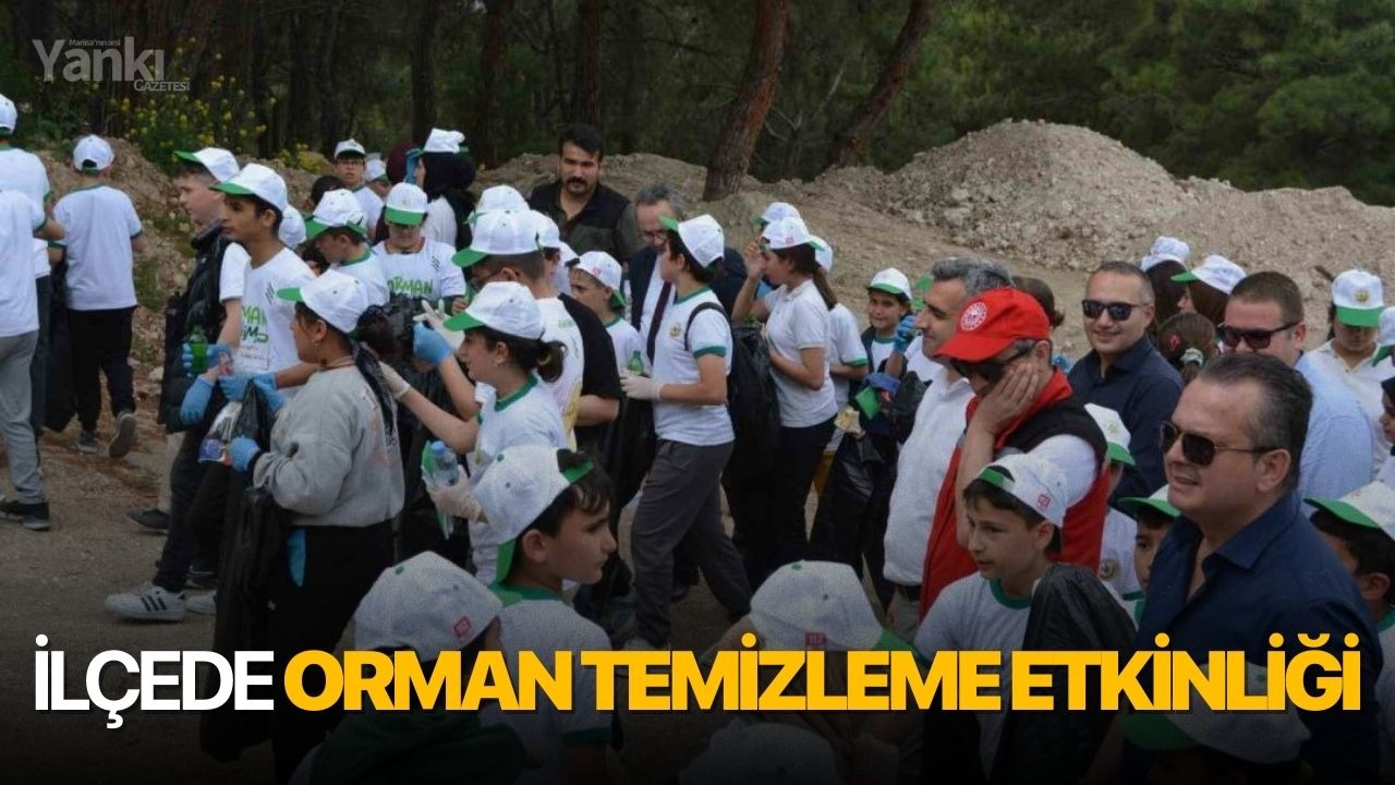 İlçede orman temizleme etkinliği