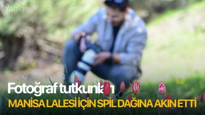 Fotoğraf tutkunları Manisa Lalesi için Spil Dağına akın etti
