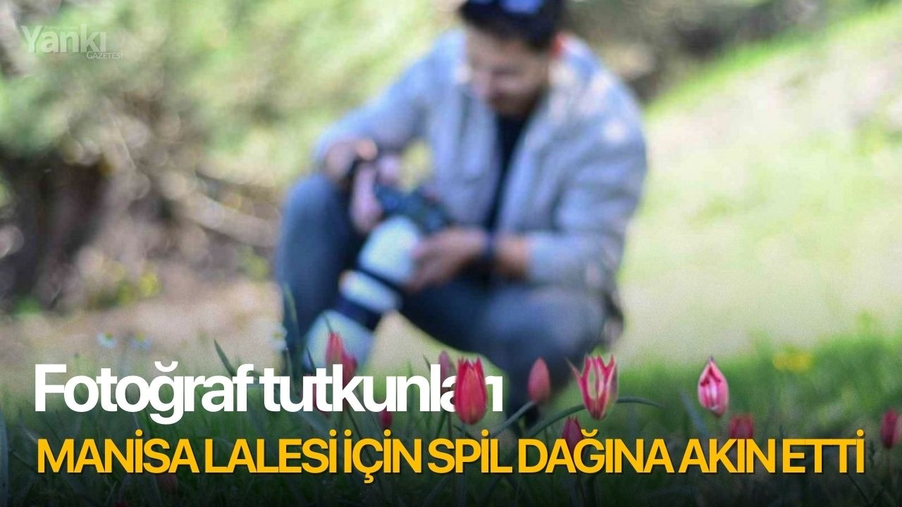 Fotoğraf tutkunları Manisa Lalesi için Spil Dağına akın etti