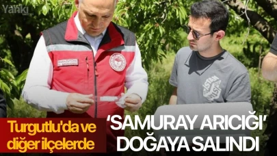 Turgutlu'da ve diğer ilçelerde ‘Samuray Arıcığı’ doğaya salındı