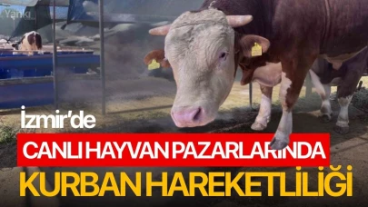 İzmir’de canlı hayvan pazarlarında kurban hareketliliği