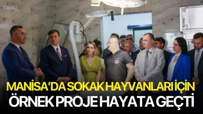 Manisa’da sokak hayvanları için örnek proje hayata geçti