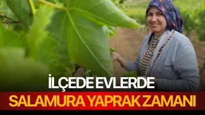 İlçede evlerde salamura yaprak zamanı