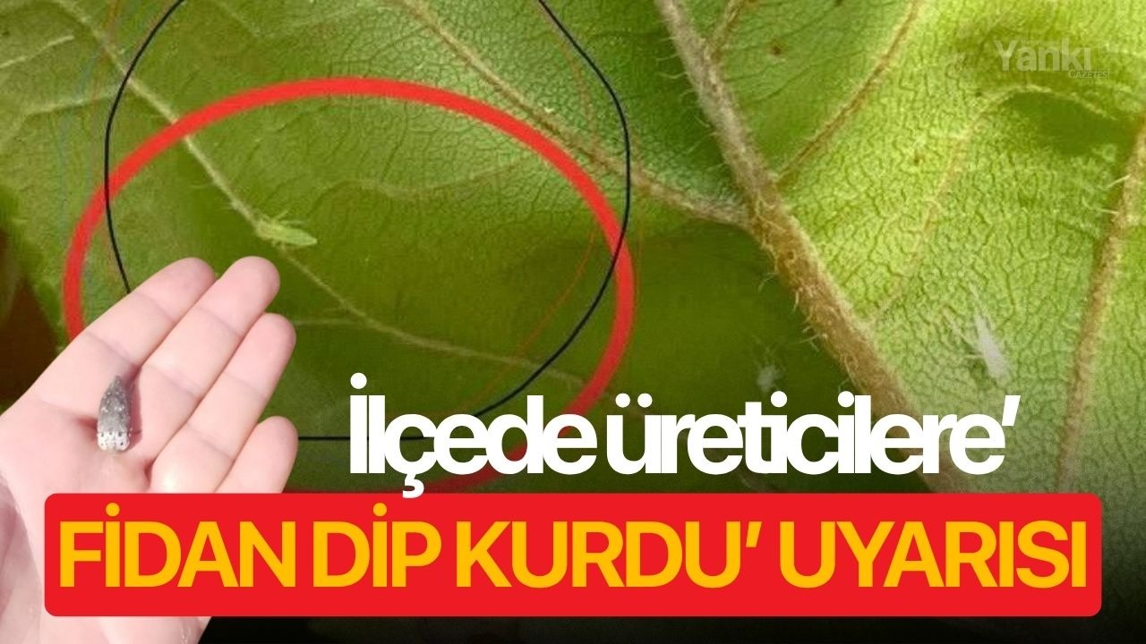 İlçede üreticilere ’Fidan dip kurdu’ uyarısı