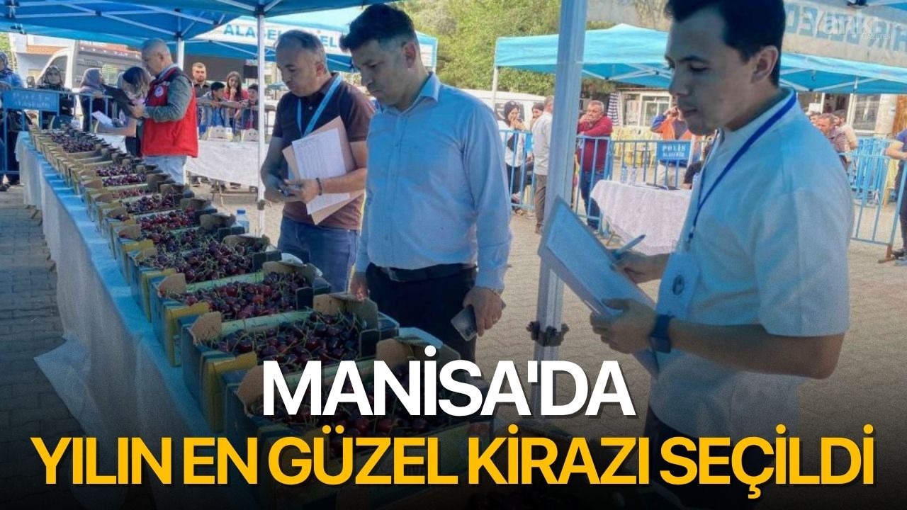 Manisa'da yılın en güzel kirazı seçildi