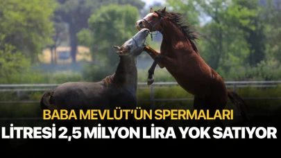Litresi 2,5 milyon lira yok satıyor!