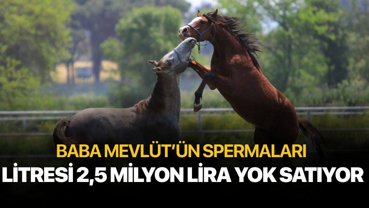 Litresi 2,5 milyon lira yok satıyor!