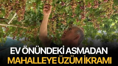 Ev önündeki asmadan mahalleye üzüm ikramı