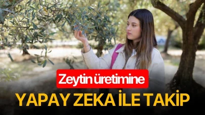 Zeytin üretimine yapay zeka ile takip
