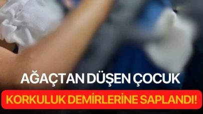 Ağaçtan düşen çocuk korkuluk demirlerine saplandı!