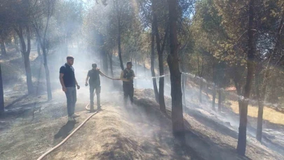 Manisa’daki yangın hızlı müdahale ile söndürüldü