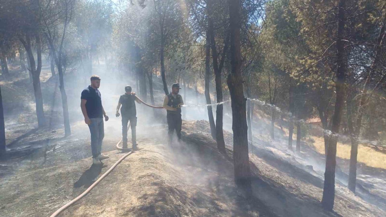 Manisa’daki yangın hızlı müdahale ile söndürüldü