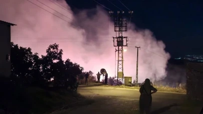 Aydın'da zeytinlik alanda çıkan yangın büyümeden kontrol altına alındı