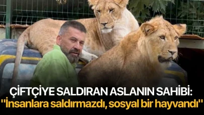 Çiftçiye saldıran aslanın sahibi: "İnsanlara saldırmazdı, sosyal bir hayvandı"