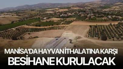 Manisa'da hayvan ithalatına karşı besihane kurulacak