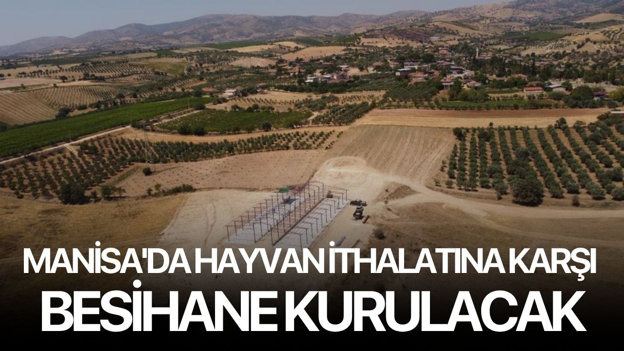 Manisa'da hayvan ithalatına karşı besihane kurulacak