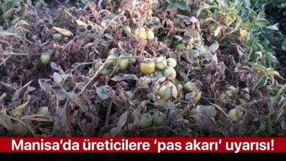 Manisa’da üreticilere ‘pas akarı’ uyarısı!