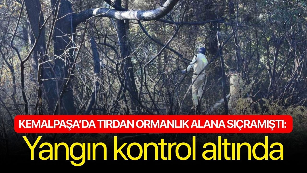 Kemalpaşa’da tırdan ormanlık alana sıçramıştı: Yangın kontrol altında