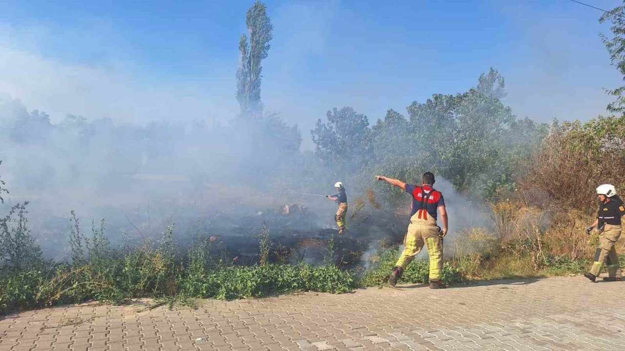 Selçuk’ta sazlık alanda yangın paniği