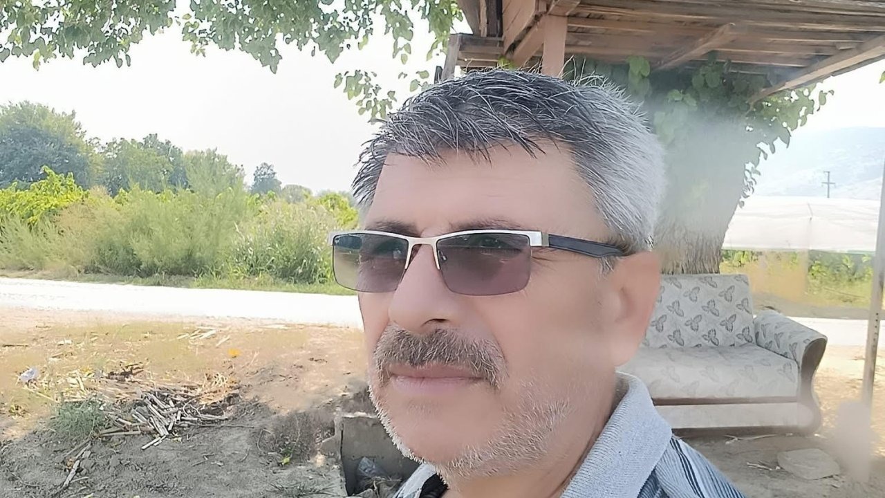 Sarıgöl’ün ağaçkondusu ilgi çekmeye devam ediyor