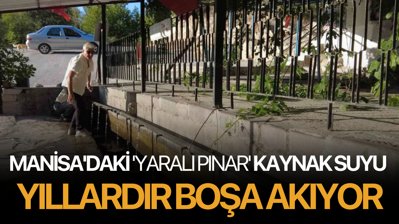 Manisa'daki 'Yaralı Pınar' kaynak suyu yıllardır boşa akıyor
