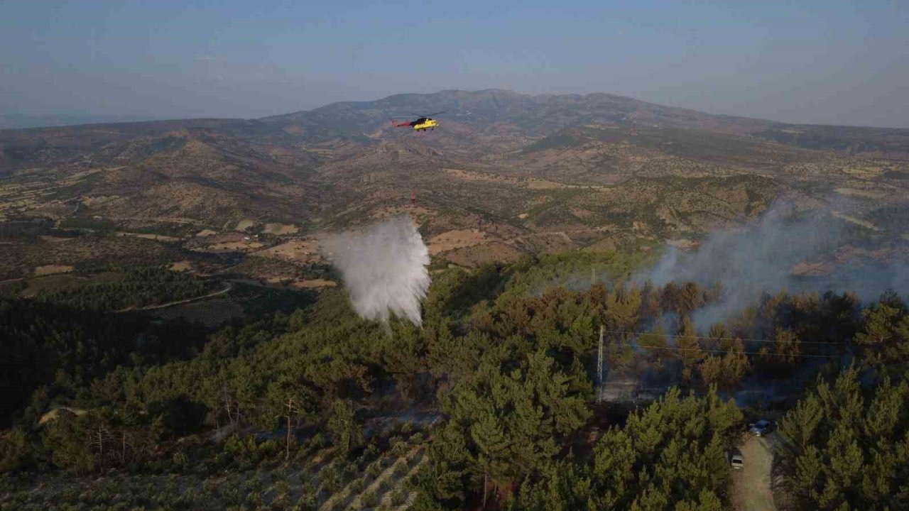 Manisa’daki yangında 5 hektarlık kızılçam ormanı zarar gördü