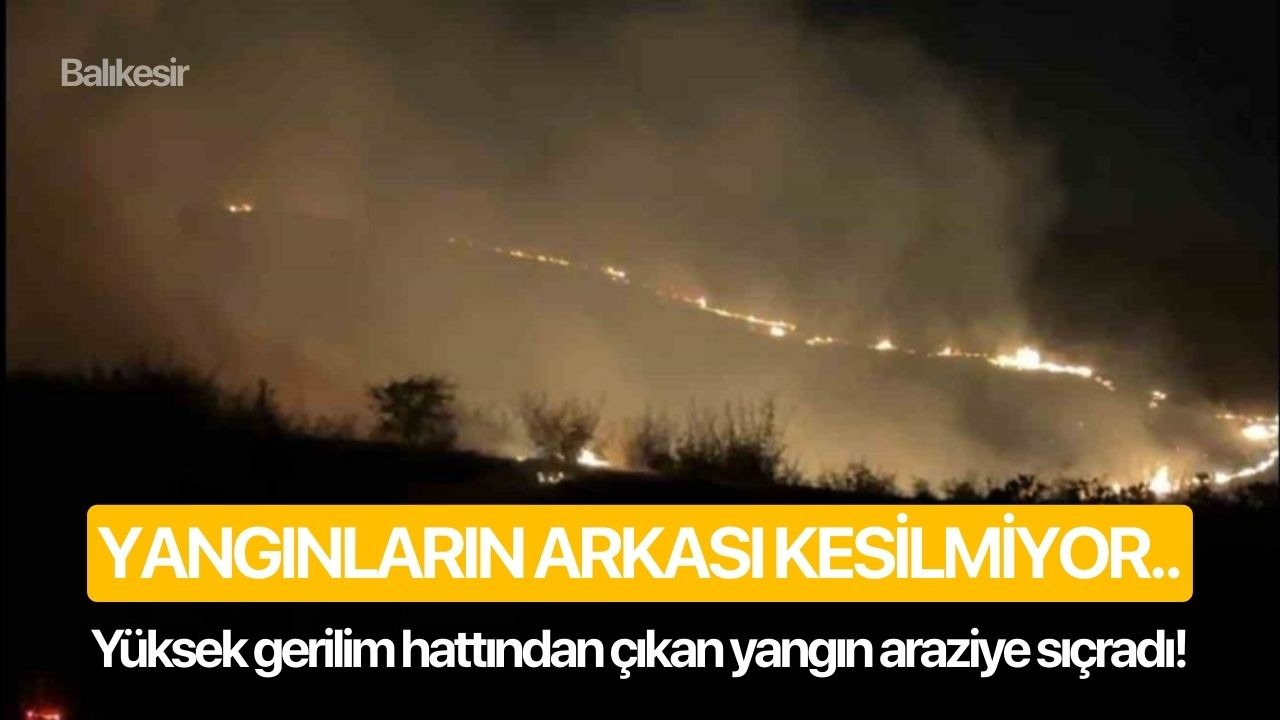 Yangınların arkası kesilmiyor.. Yüksek gerilim hattından çıkan yangın araziye sıçradı!
