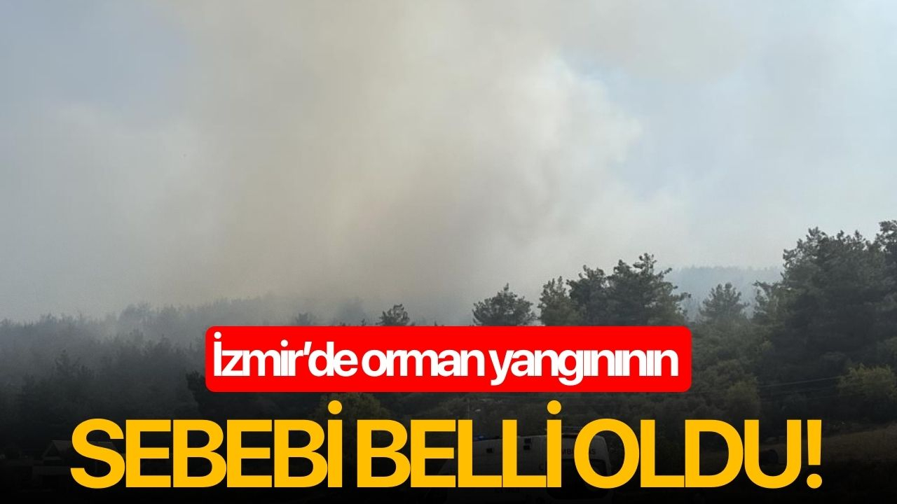 İzmir'de orman yangınının sebebi belli oldu!