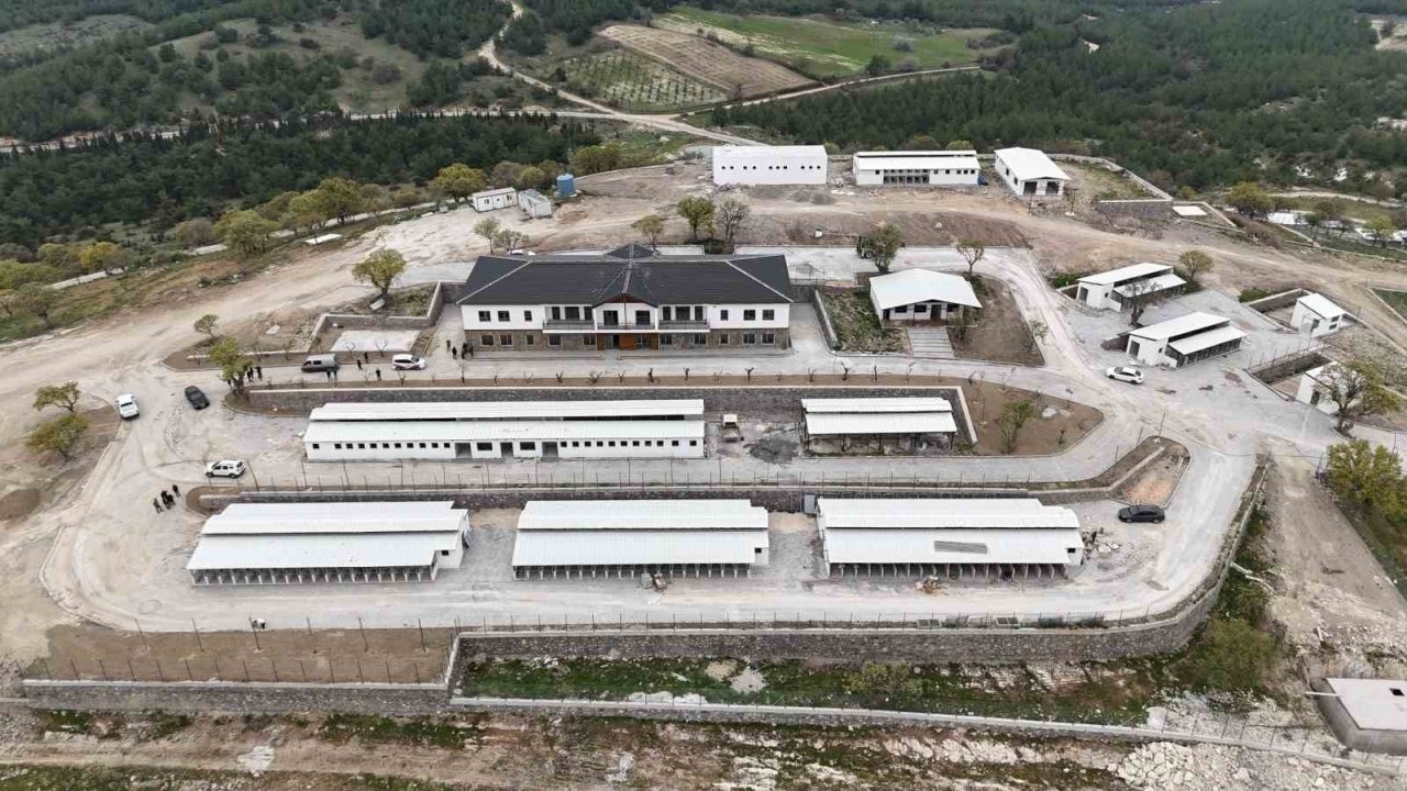 Manisa’da Sahipsiz Hayvanlar İçin Doğal Yaşam Alanları Denetlendi